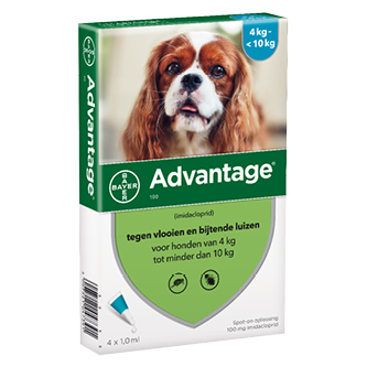 Advantage 100 hond (4 - 10 kg) - 4 pip