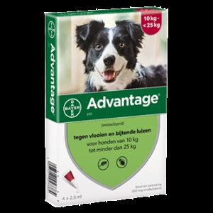 Advantage 250 hond (10 - 25 kg) - 4 pip