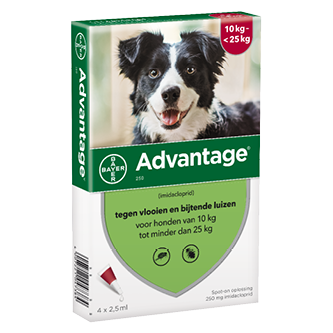 Advantage 250 hond (10 - 25 kg) - 4 pip