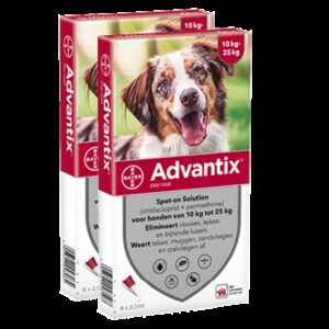 Advantix 250 hond (10 - 25 kg) - 4 pip