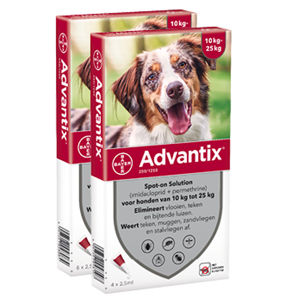 Advantix 250 hond (10 - 25 kg) - 4 pip