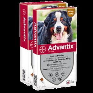Advantix 600 hond (40 - 60 kg) - 4 pip