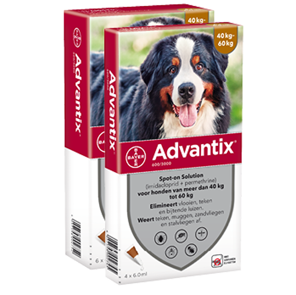 Advantix 600 hond (40 - 60 kg) - 4 pip