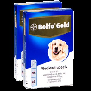Bolfo Gold 250 hond (10 - 25 kg) - 2 pip