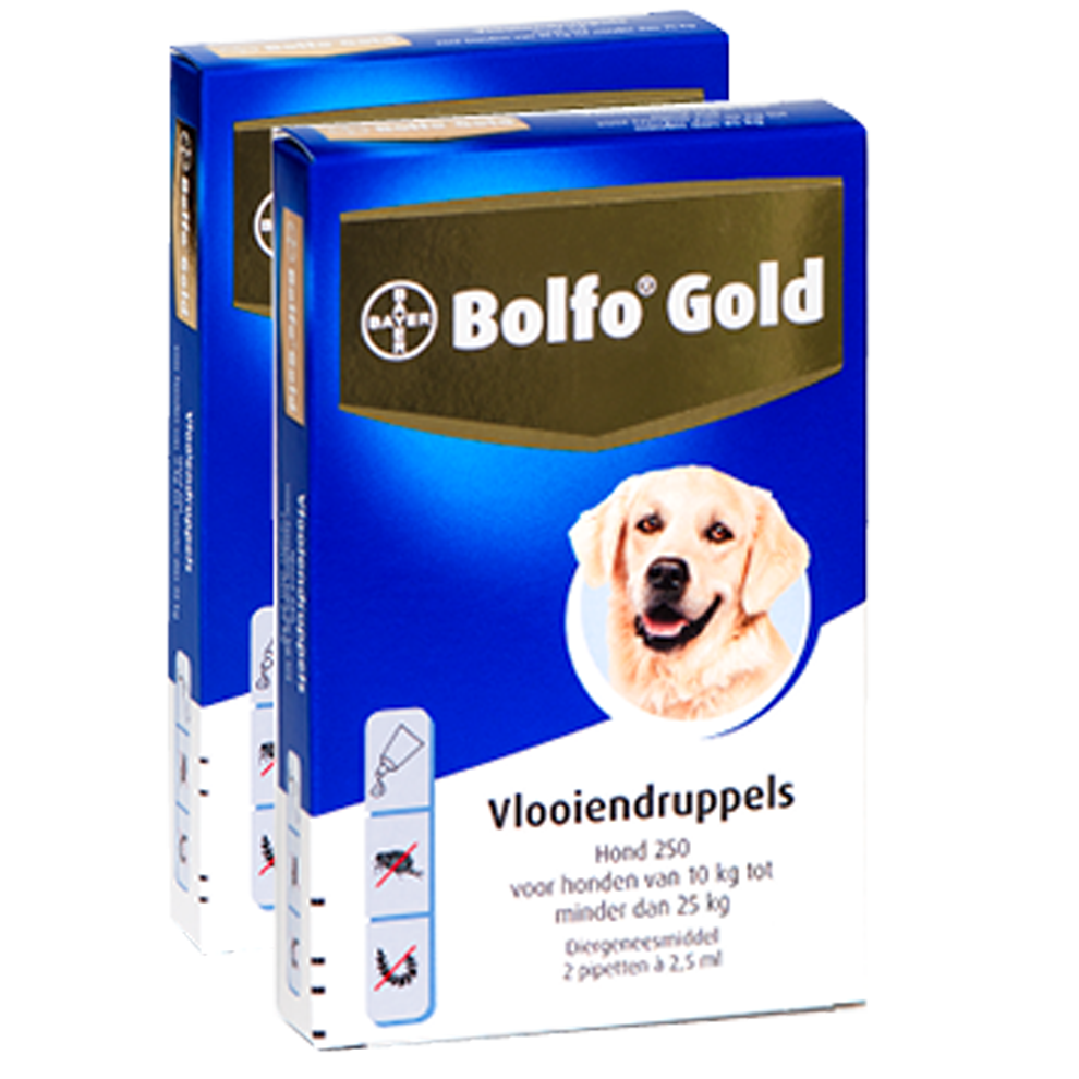 Bolfo Gold 250 hond (10 - 25 kg) - 2 pip