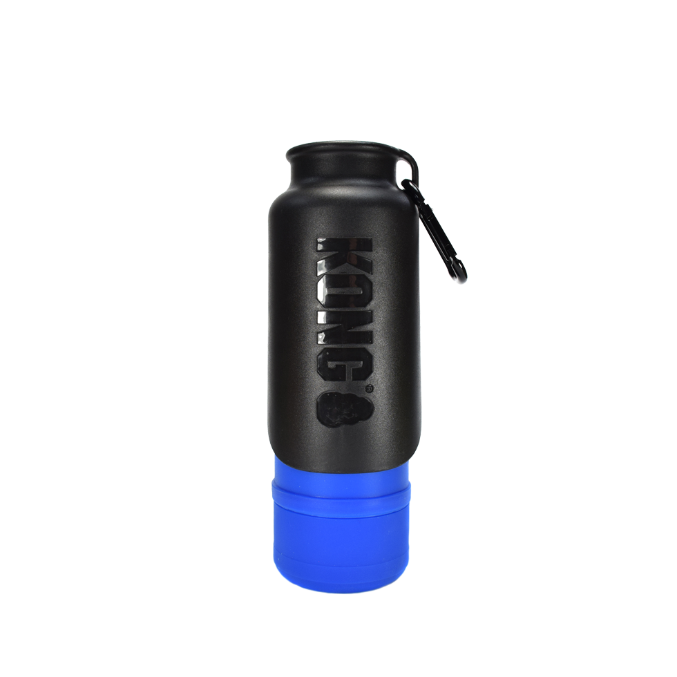 KONG H2O 700 ml geïsoleerde waterfles blauw