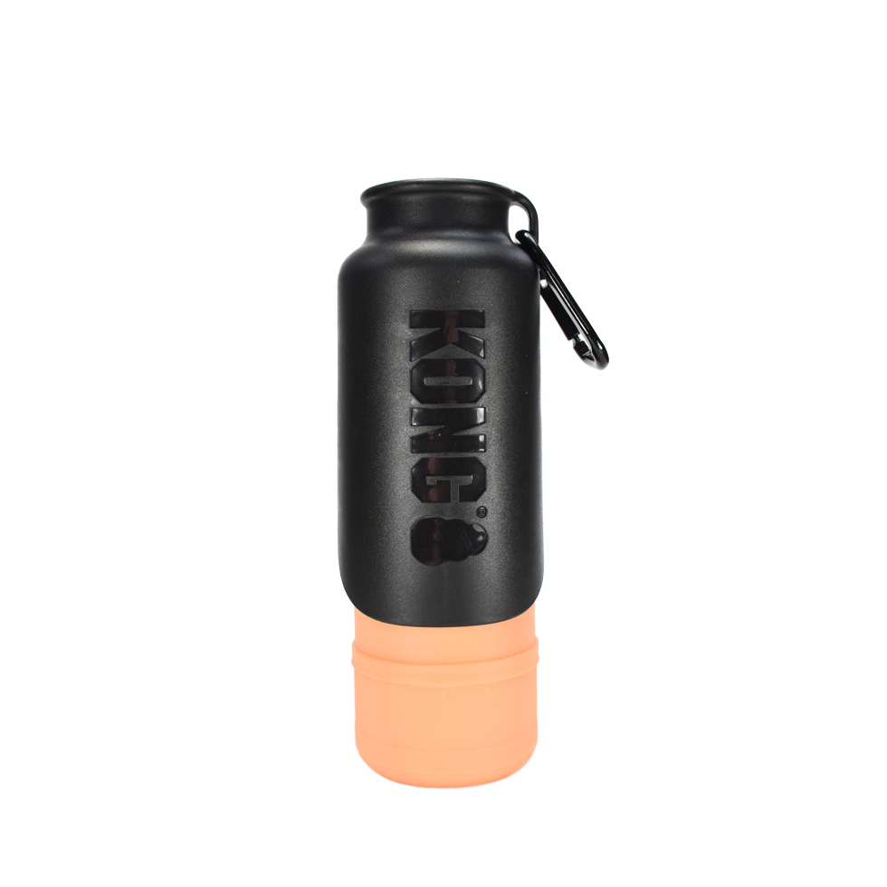 KONG H2O 700 ml geïsoleerde waterfles oranje