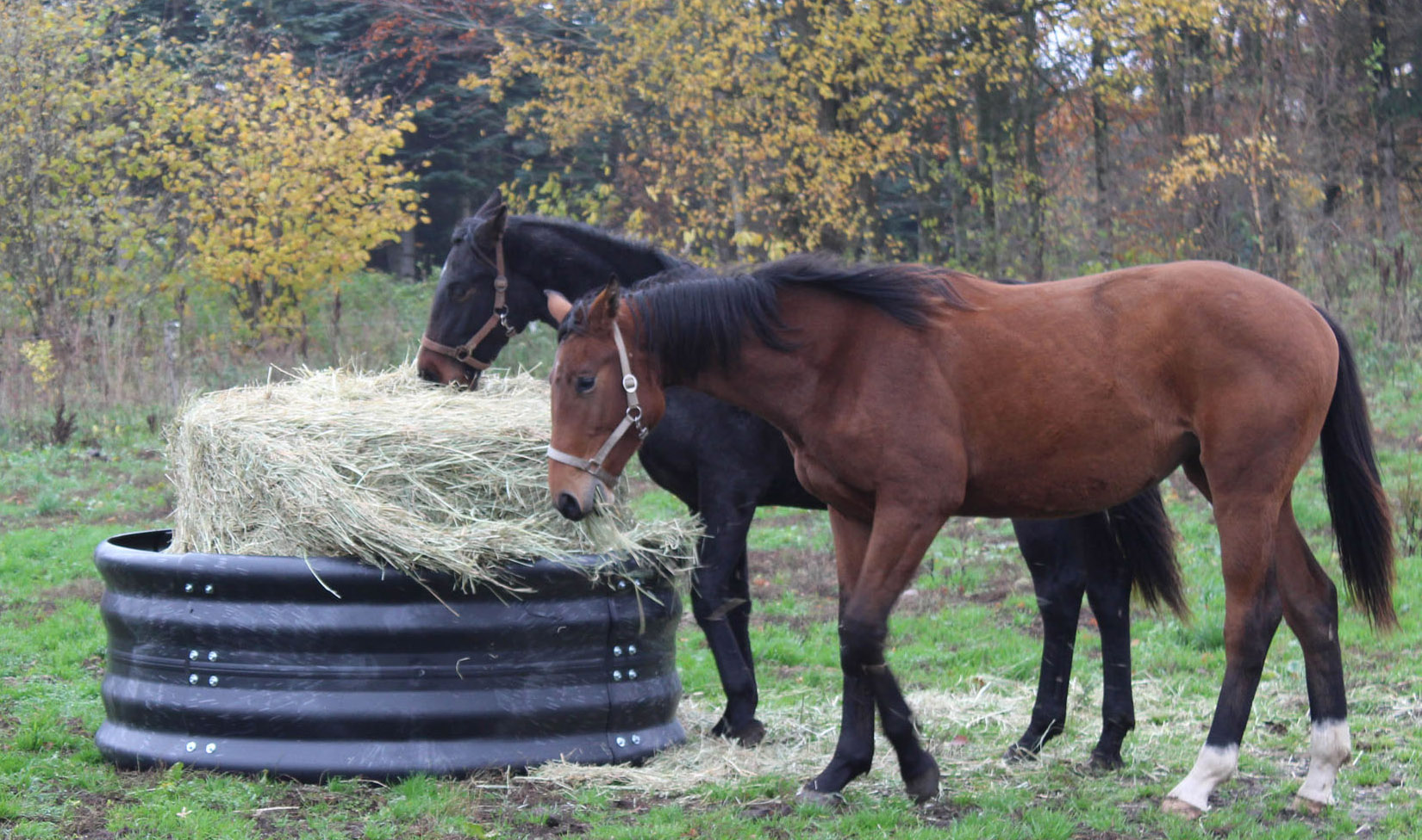 Hooi Ring Feeder Ø 128 cm - Afbeelding 2