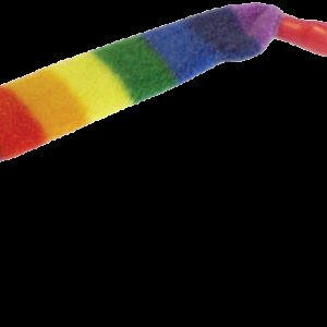 Cat Dancer Regenboog Cat Charmer