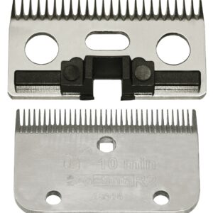 Constanta Rodeo R2 3mm    35/24tands