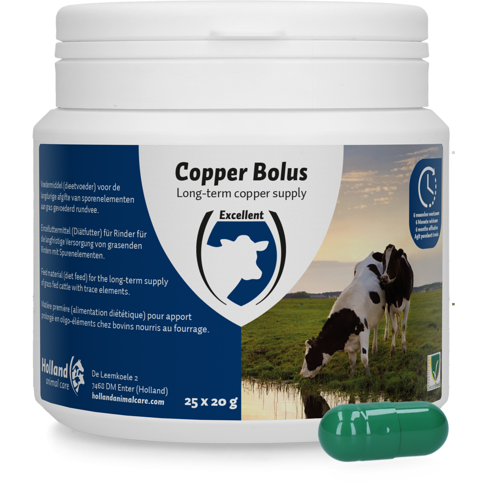 Copper Bolus