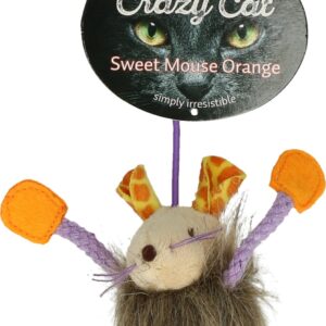 Crazy Cat Sweet Mouse Orange met 100% Madnip