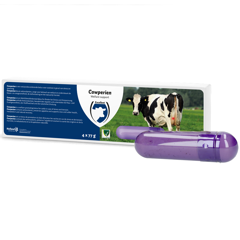 Cowperien Bolus