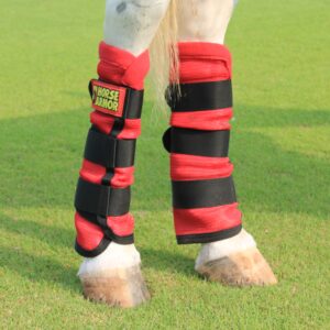 Horse Armor knockdown leg wraps one size (Insect shield)