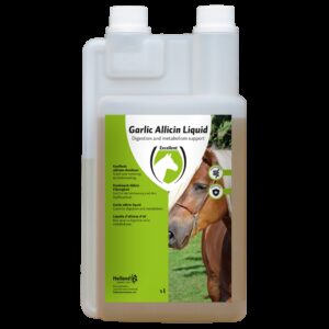 Garlic Allicin Liquid EU (Knoflook vloeibaar)