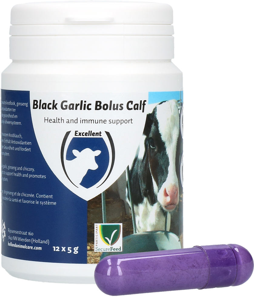 Black Garlic Bolus Calf