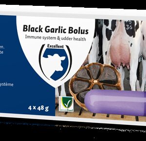 Black Garlic Bolus Rund