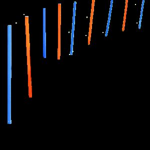 Agility Poles 12 pcs