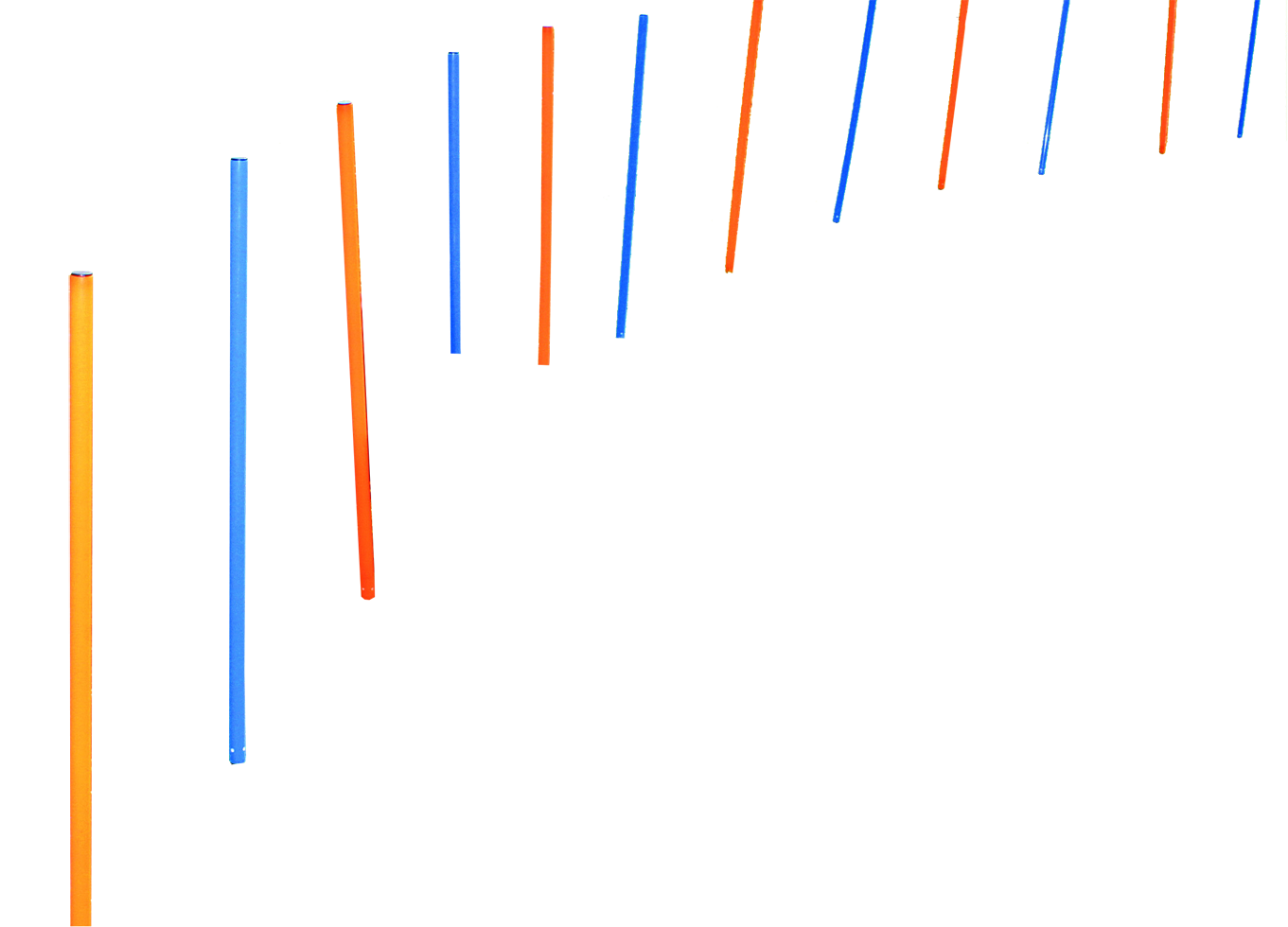 Agility Poles 12 pcs