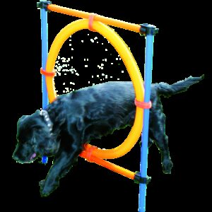 Agility Ring