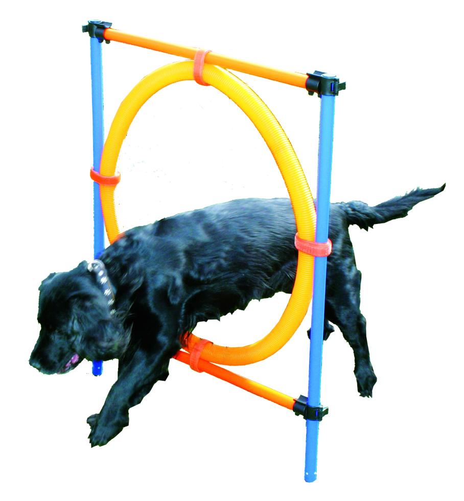 Agility Ring
