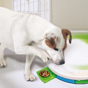 Dog Training Toy