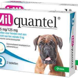 Milquantel 12,5 mg/125 mg Hond Groot 4 tabl. 5-75kg