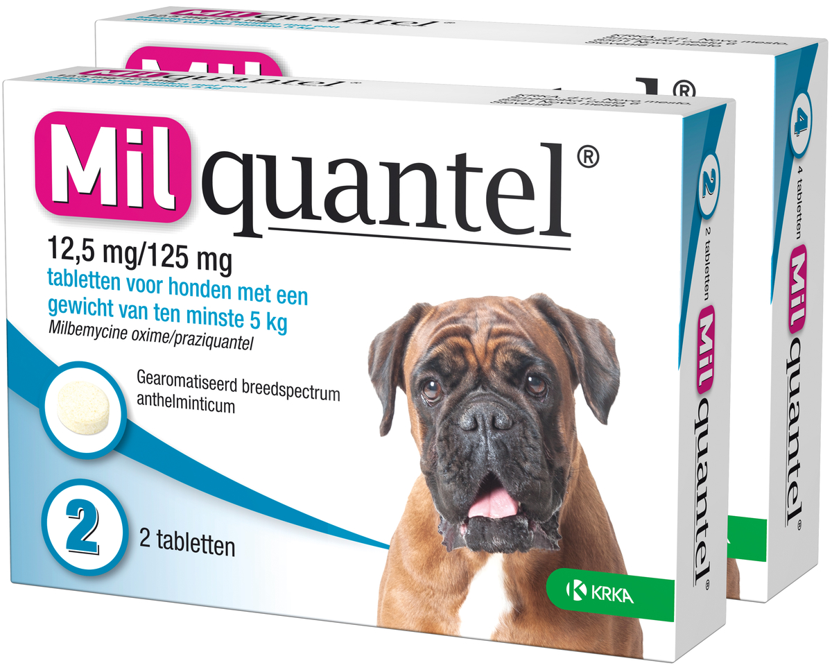 Milquantel 12,5 mg/125 mg Hond Groot 4 tabl. 5-75kg
