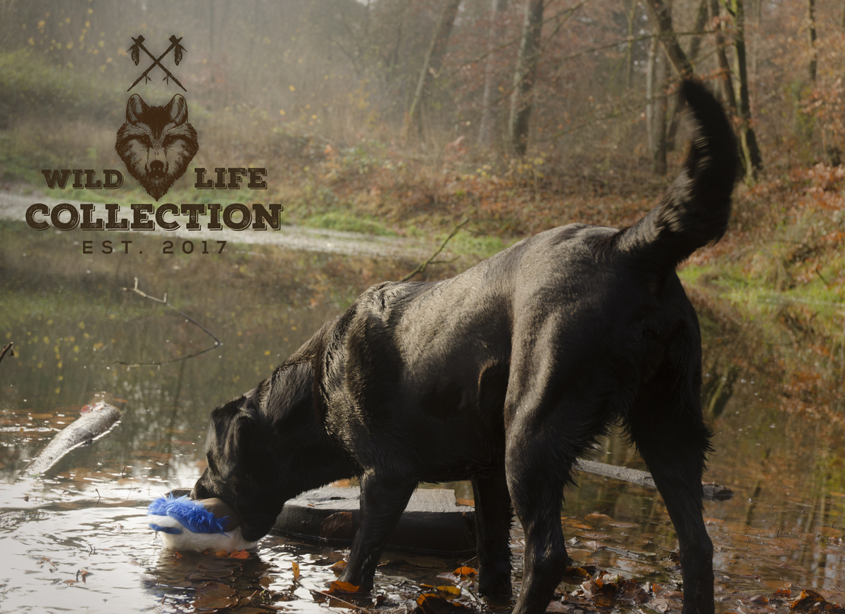 Wild Life Dog Duck (Eend) - Afbeelding 3