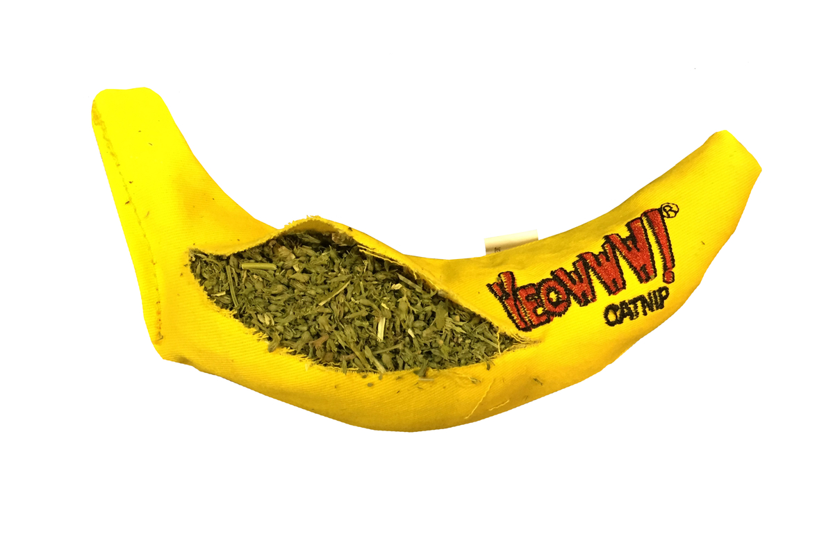 Yeowww Chicata Banana - Afbeelding 2
