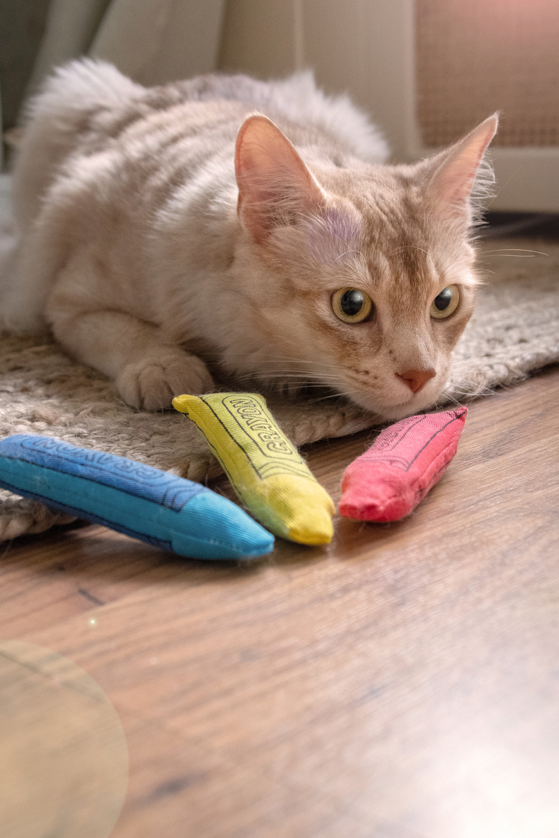 Yeowww!-ola Crayon 3-pk - Afbeelding 2