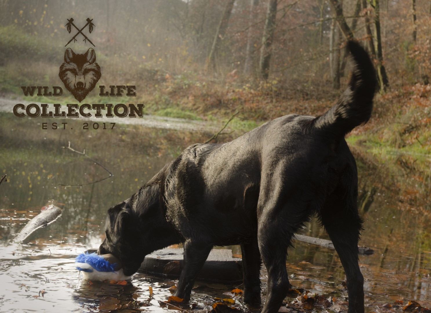 Wild Life Dog Duck (Eend) - Afbeelding 4