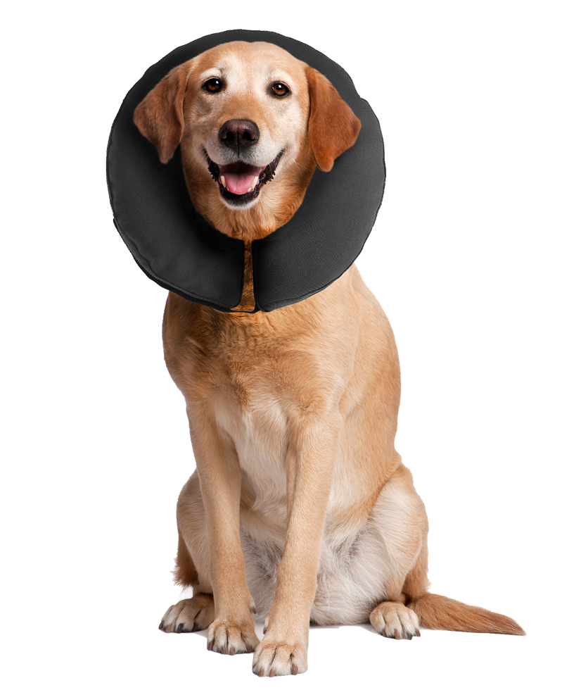 Zenpet ProCollar XS - Afbeelding 3