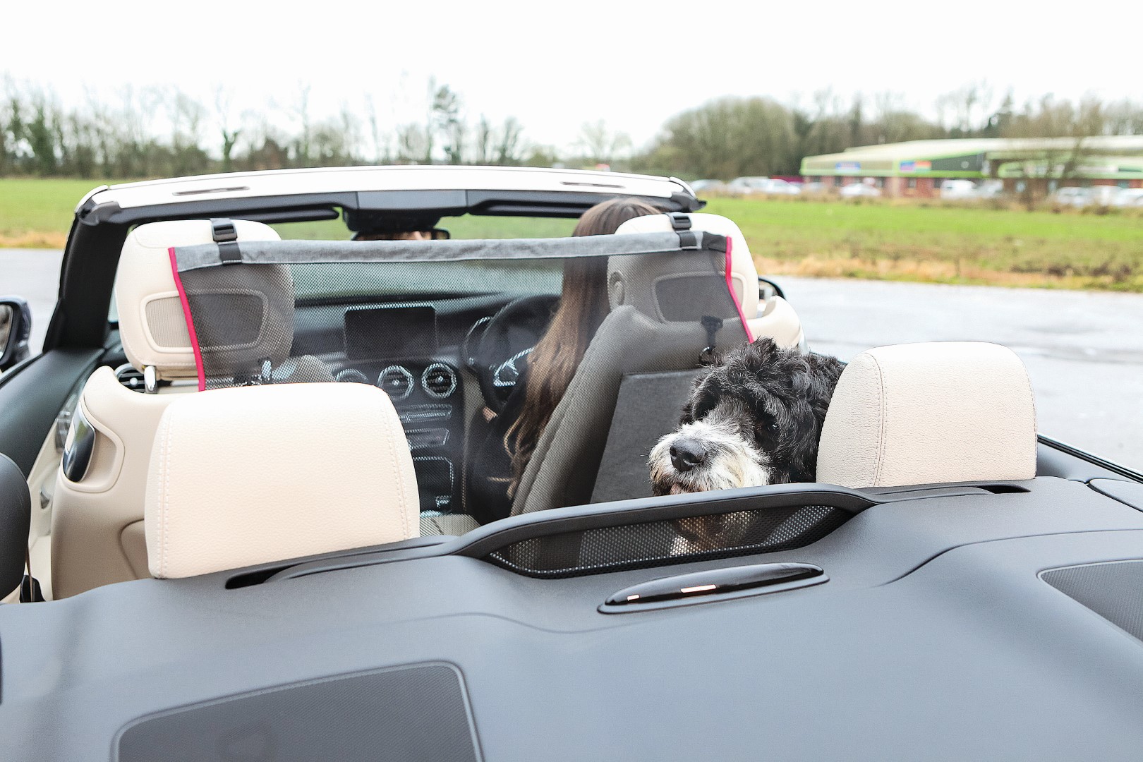 KONG Protective Seat Barrier - Afbeelding 6