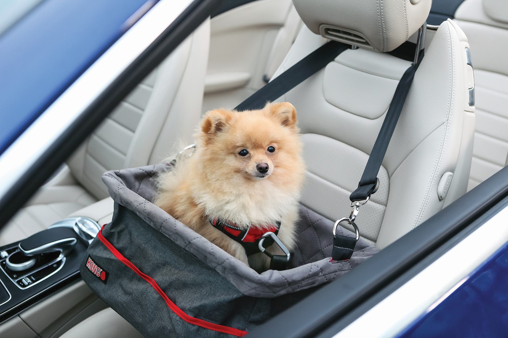 KONG Secure Booster Seat - Afbeelding 3