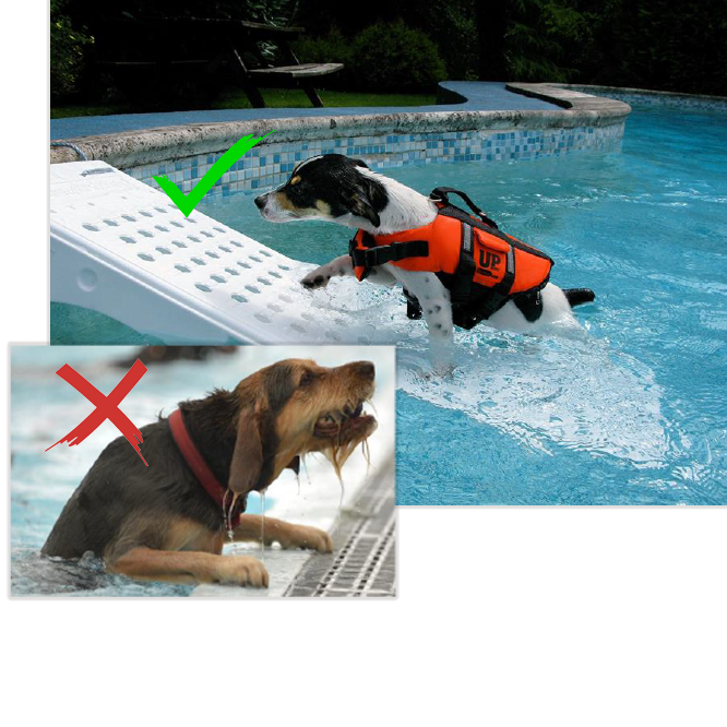Petmate Skamper Loopplank Regular - Afbeelding 2