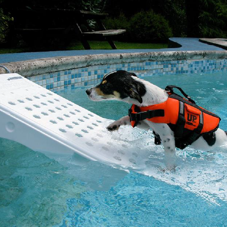 Petmate Skamper Loopplank Regular - Afbeelding 3