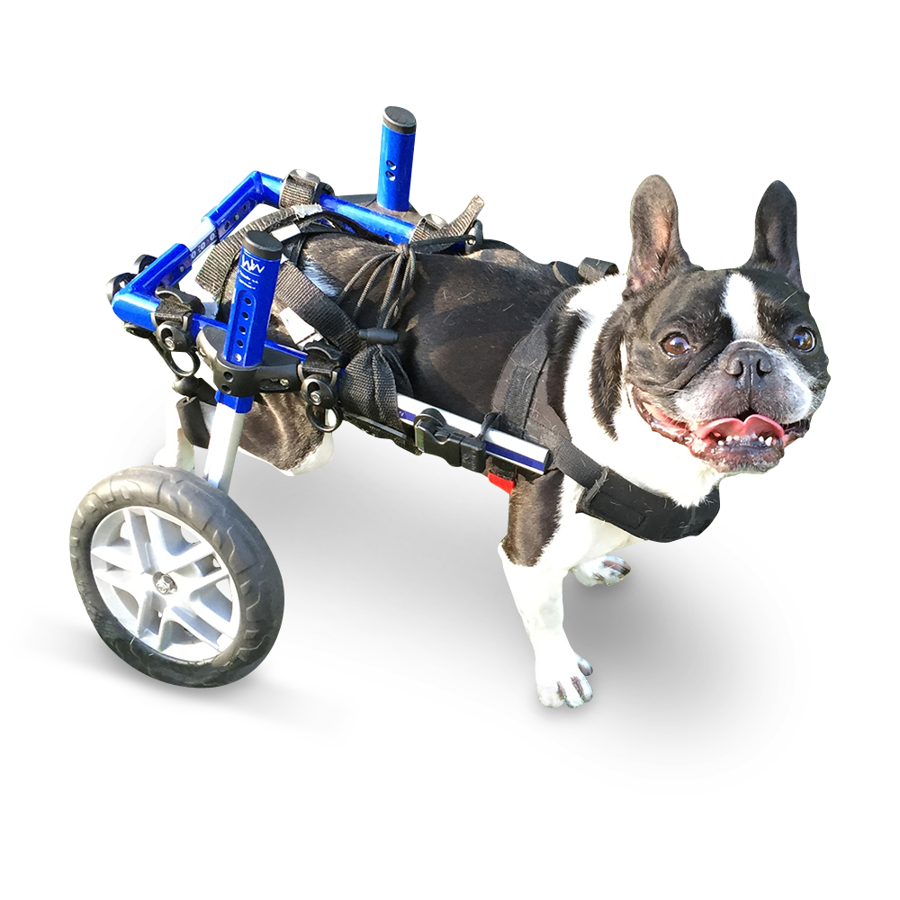 Rolstoel Dog Small Blauw 09-08, < 11 kg