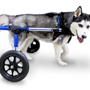 Rolstoel Dog Medium/Large Blauw 09-12, Foam, 12-31 kg