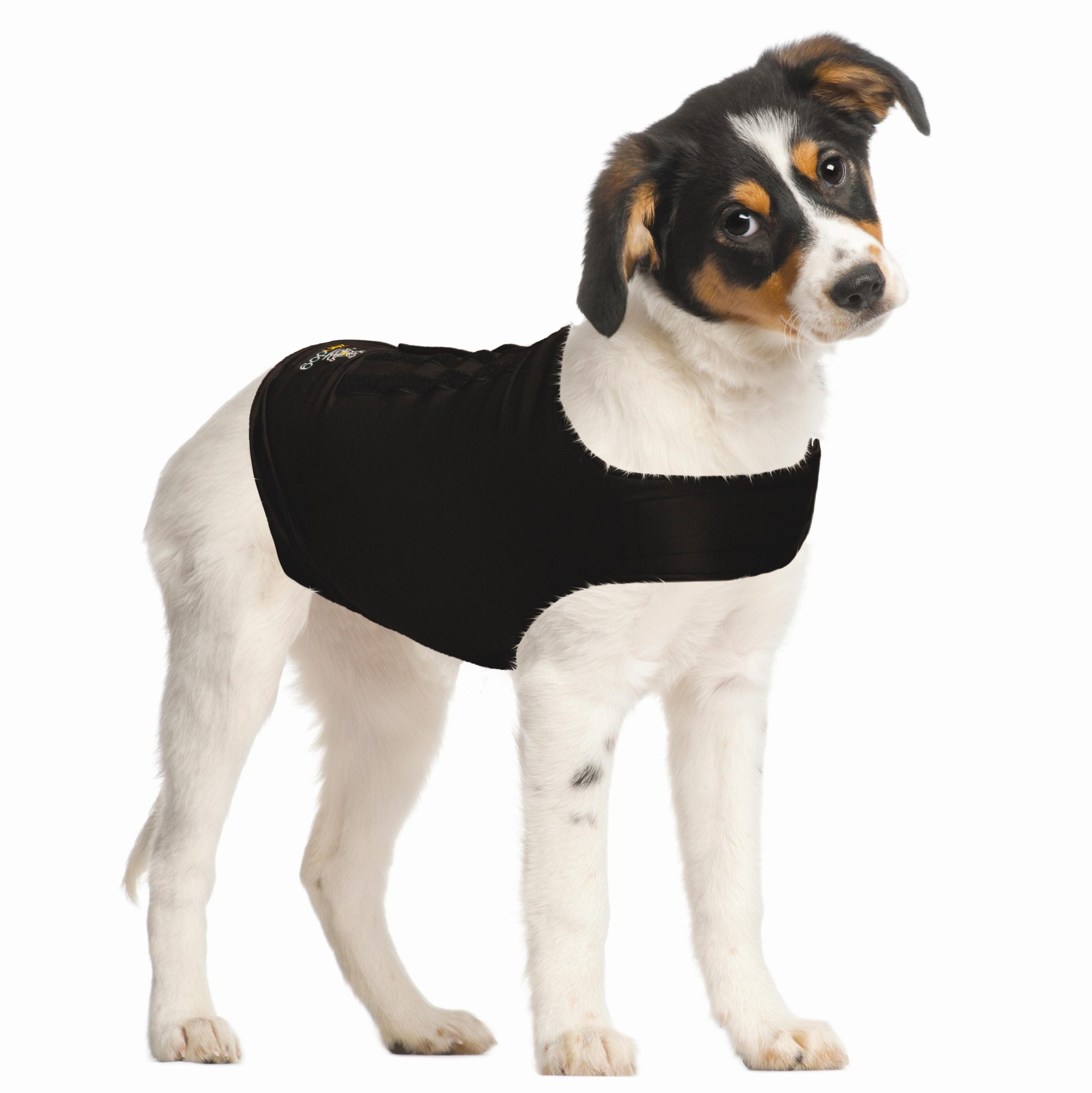 ZenDog Compression Shirt X Small - Afbeelding 4