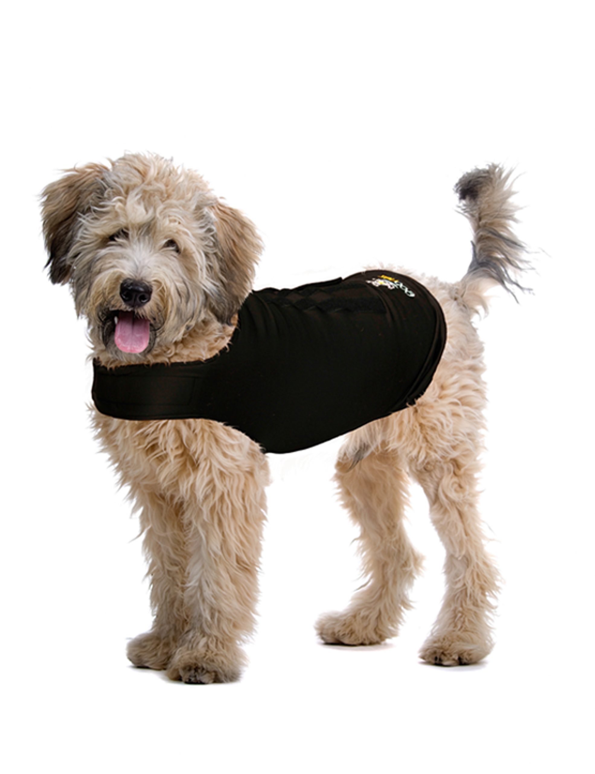 ZenDog Compression Shirt X Small - Afbeelding 5