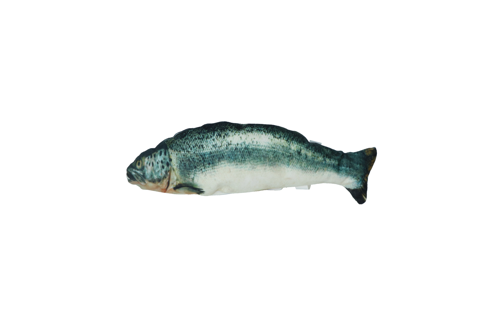 Robocat Zalm - Afbeelding 3