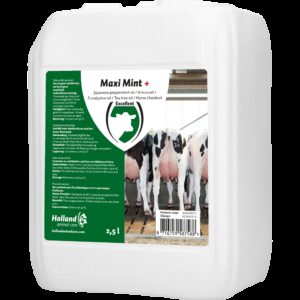 Maxi Mint grootverpakking incl. dosator
