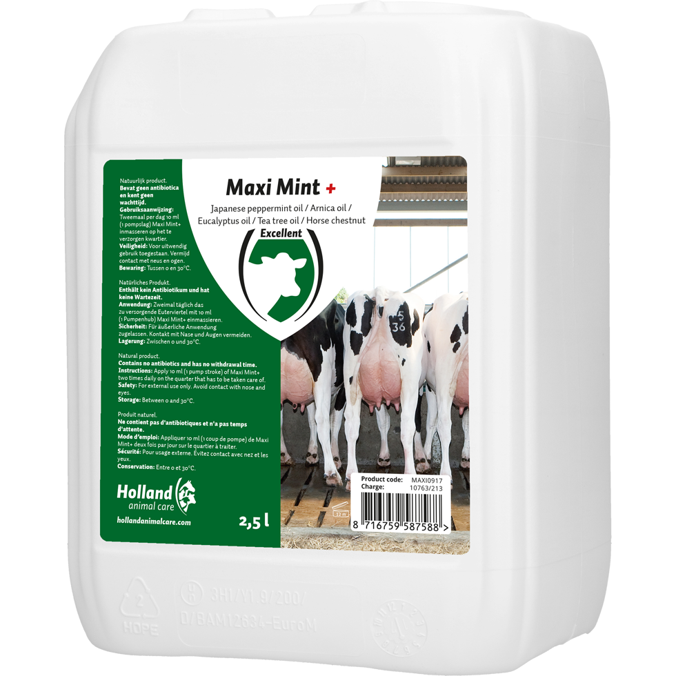 Maxi Mint grootverpakking incl. dosator