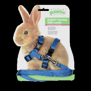 Nylon harness for rabbit ass blue