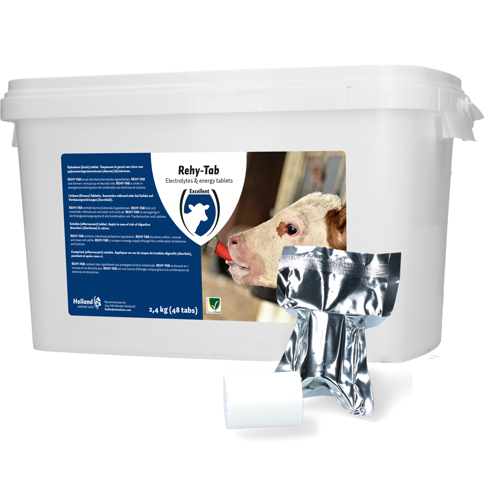 Rehy-Tab Plus (Bruistablet kalverdiarree) 48 tabl