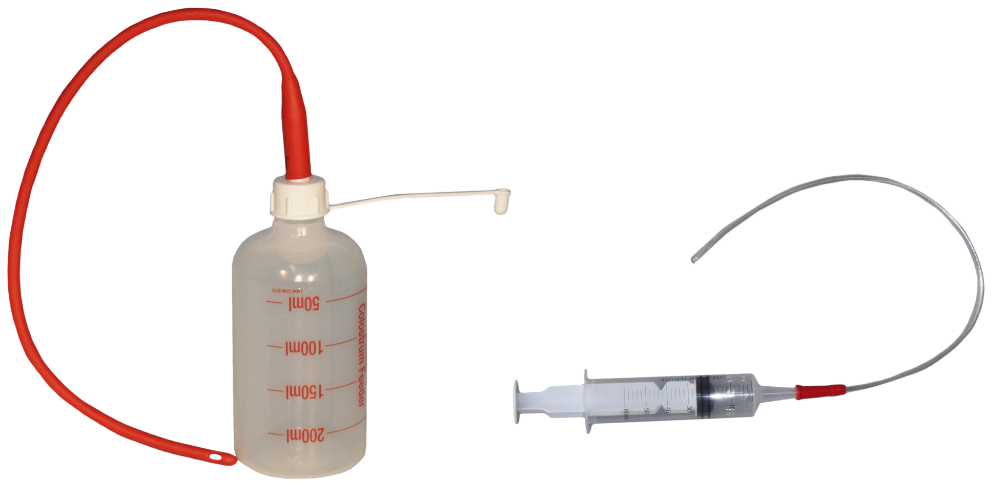 Lammerensonde 48 cm + spuit 60 ml
