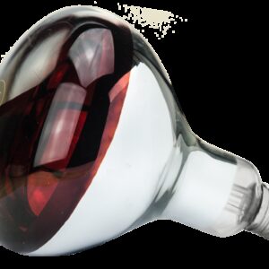 Lamp 150 W infrarood Hard Glas