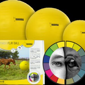 Maximus Power Play Ball 100cm
