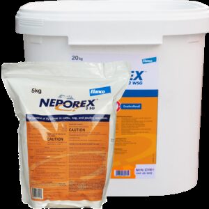 Neporex 2 WSG